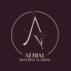 Aerial Movement Academy