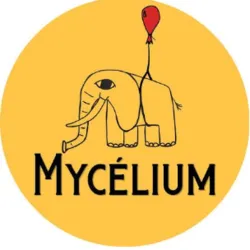 Mycelium Circus School