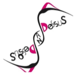 Sans Dessous Dessus – Scuola di Circo della Regione Mornant