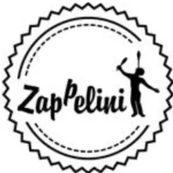 Zappelini-Der Junge Zirkus